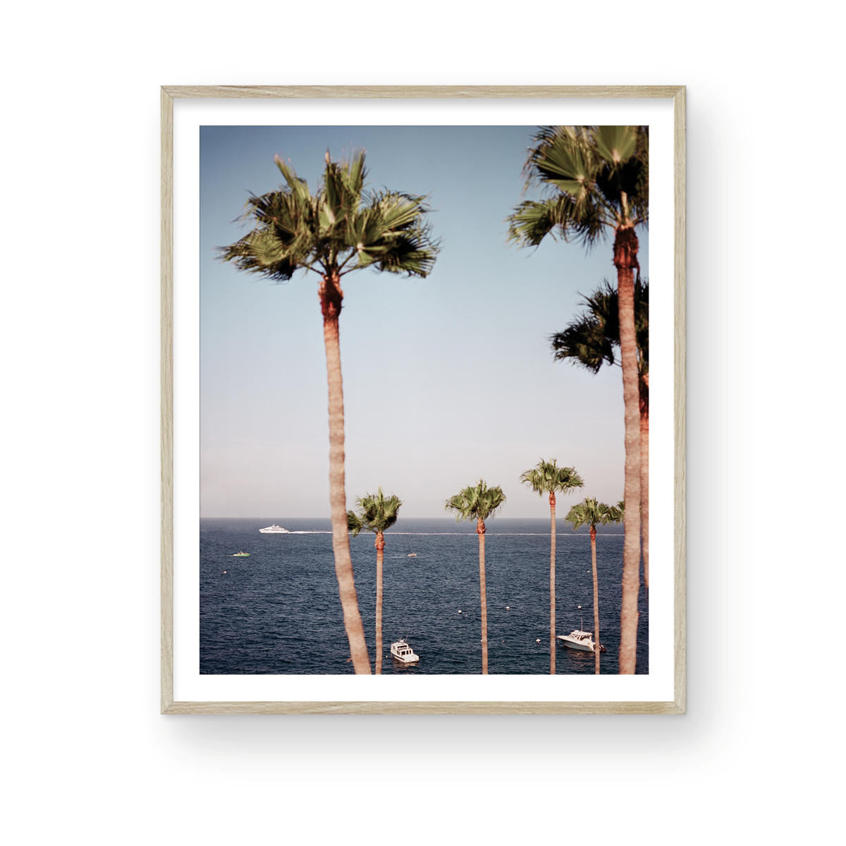 Catalina, Twelve: On Film