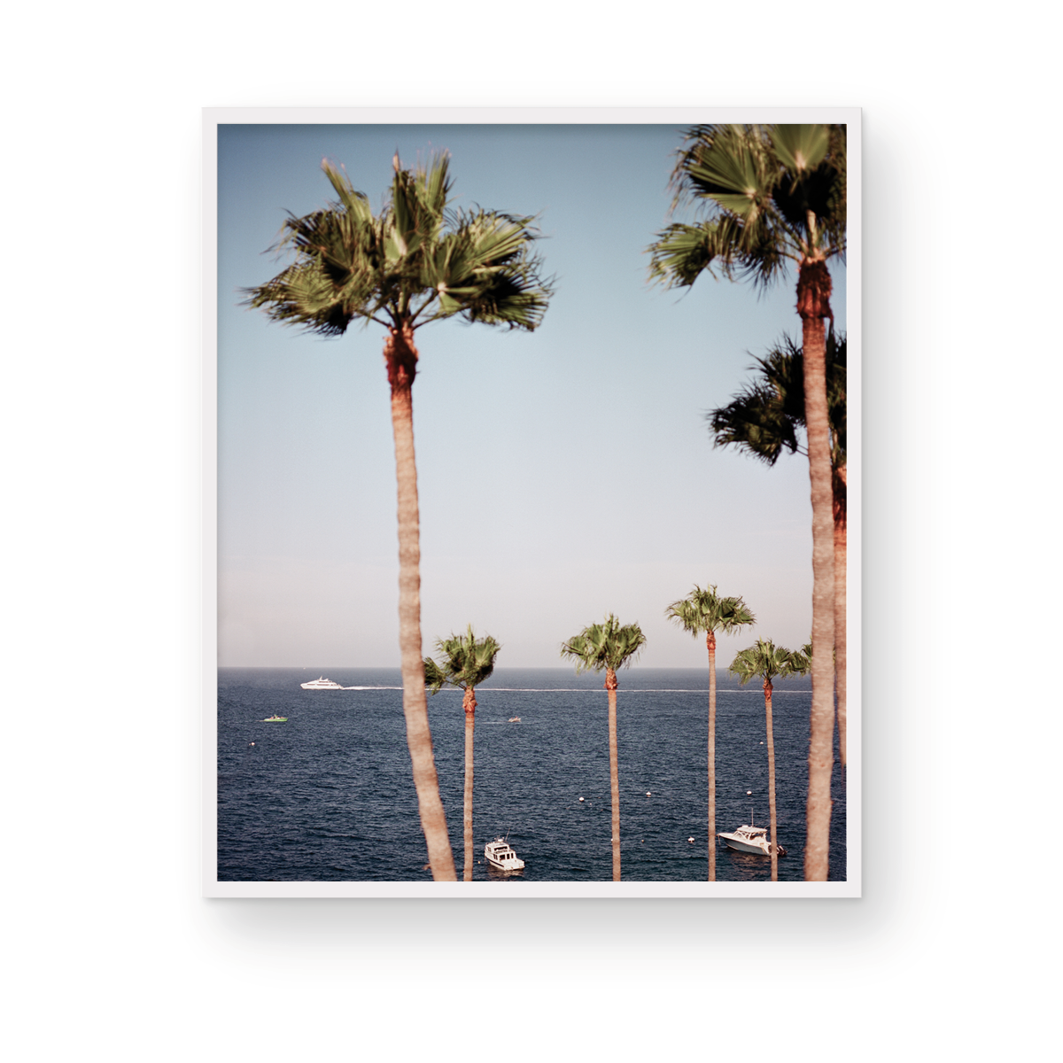 Catalina, Twelve: On Film