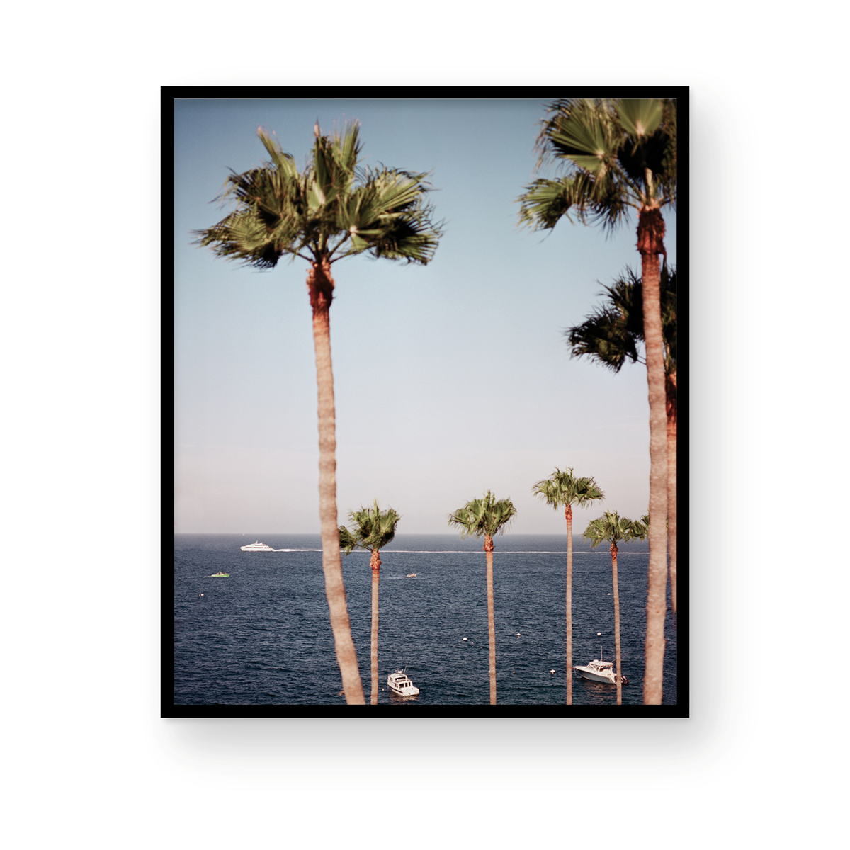 Catalina, Twelve: On Film