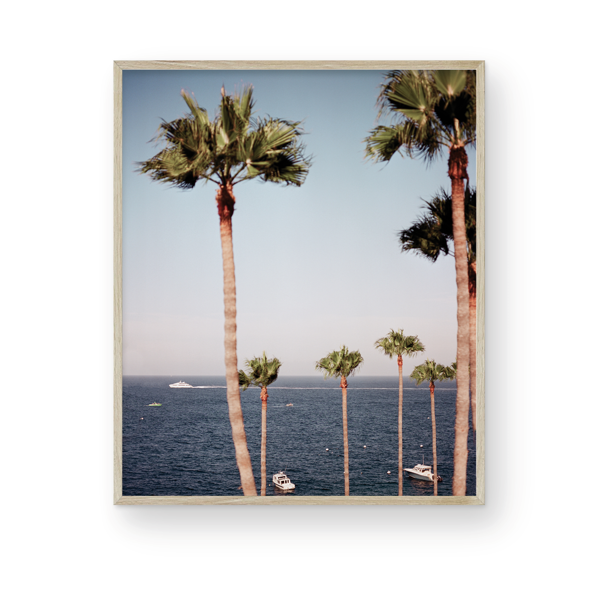 Catalina, Twelve: On Film