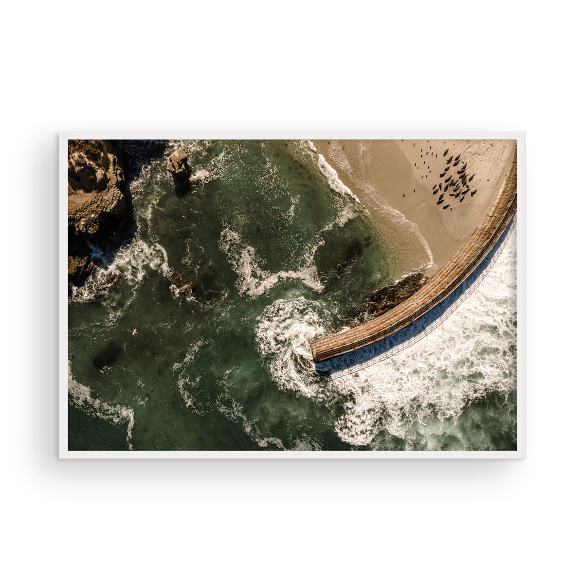 La Jolla Cove, Ten