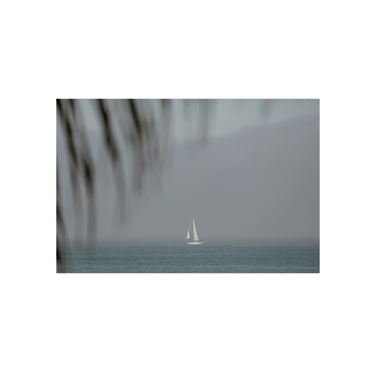Dana Point, One