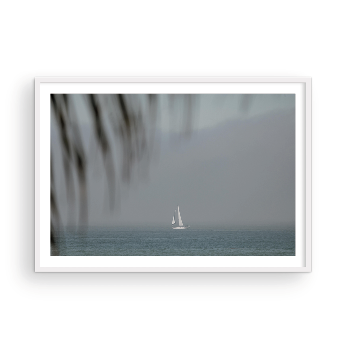 Dana Point, One