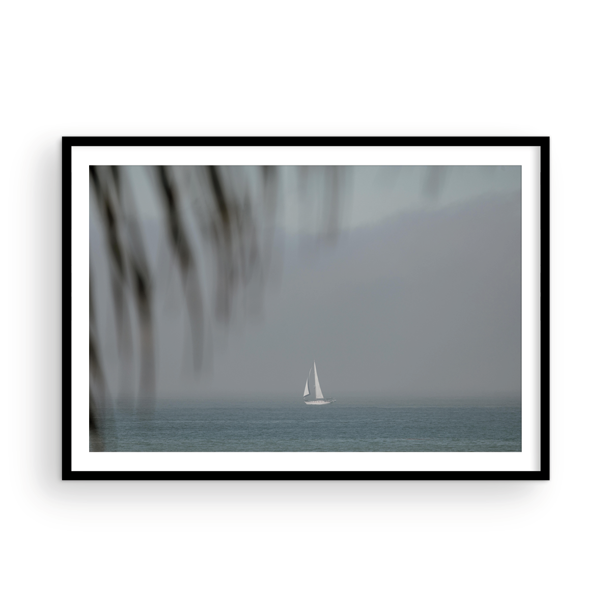 Dana Point, One
