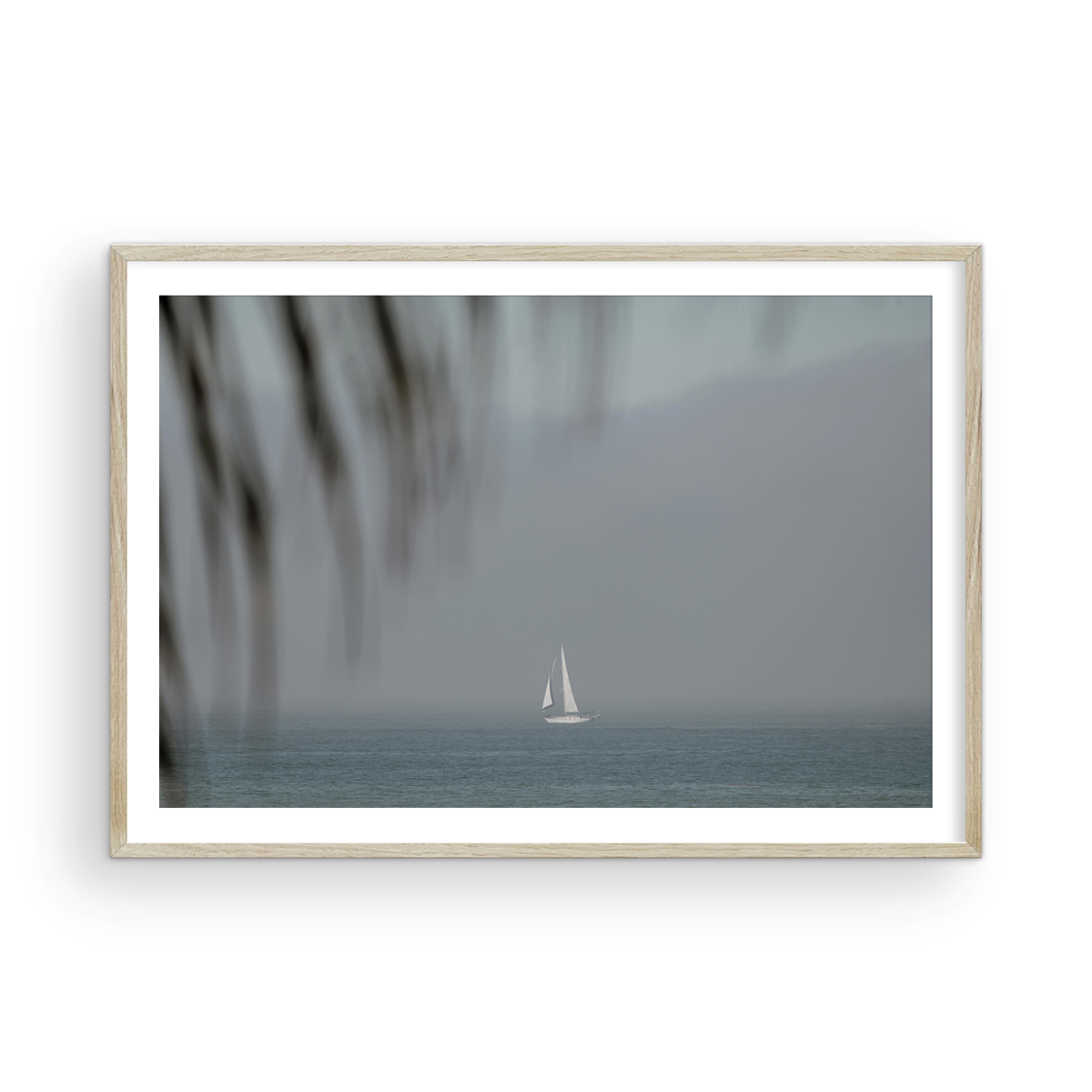 Dana Point, One