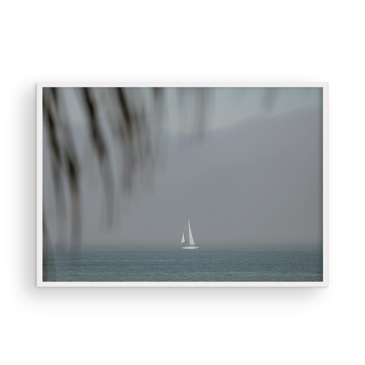 Dana Point, One