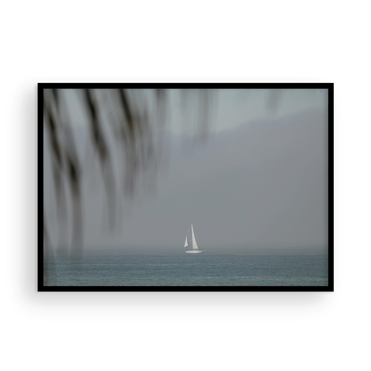 Dana Point, One