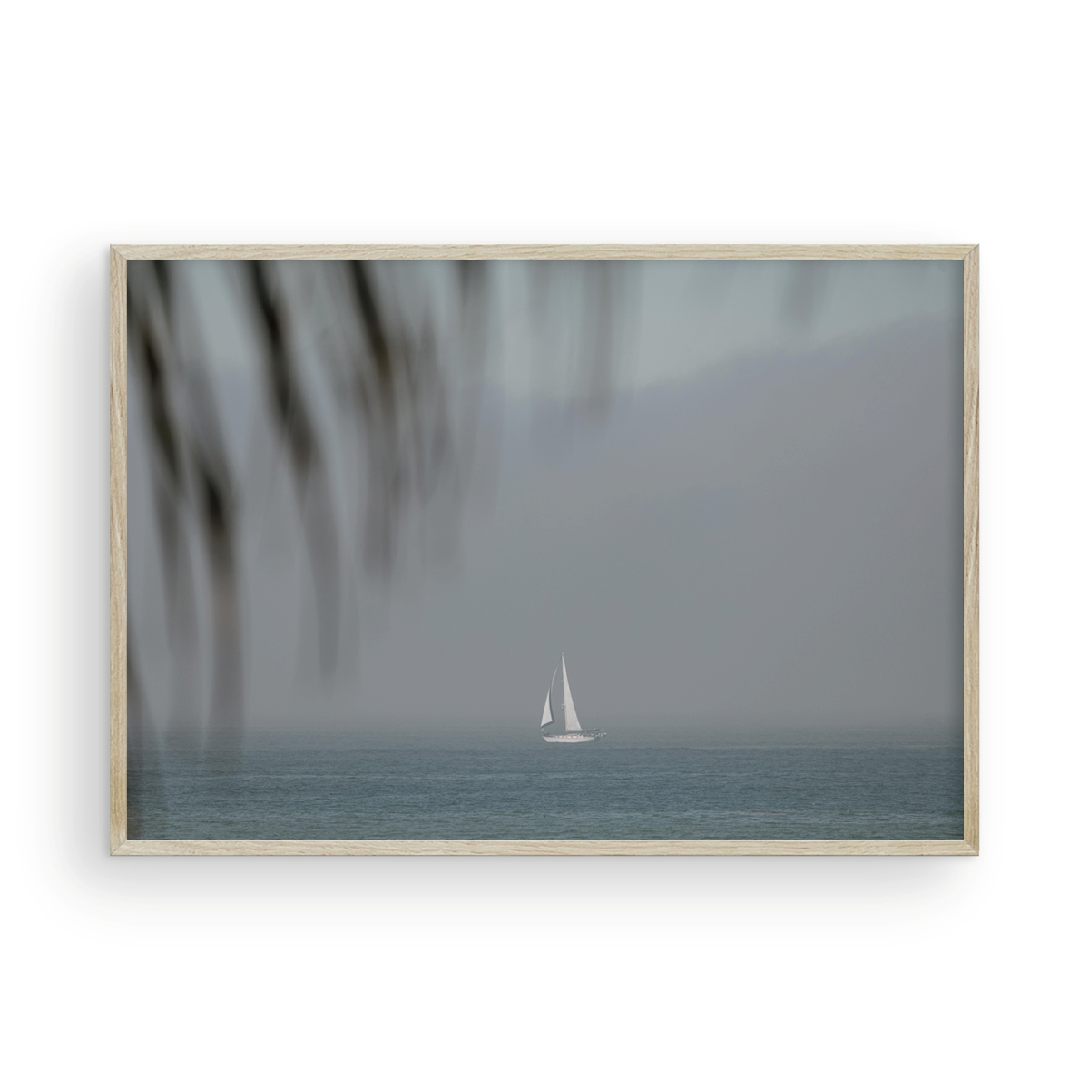 Dana Point, One