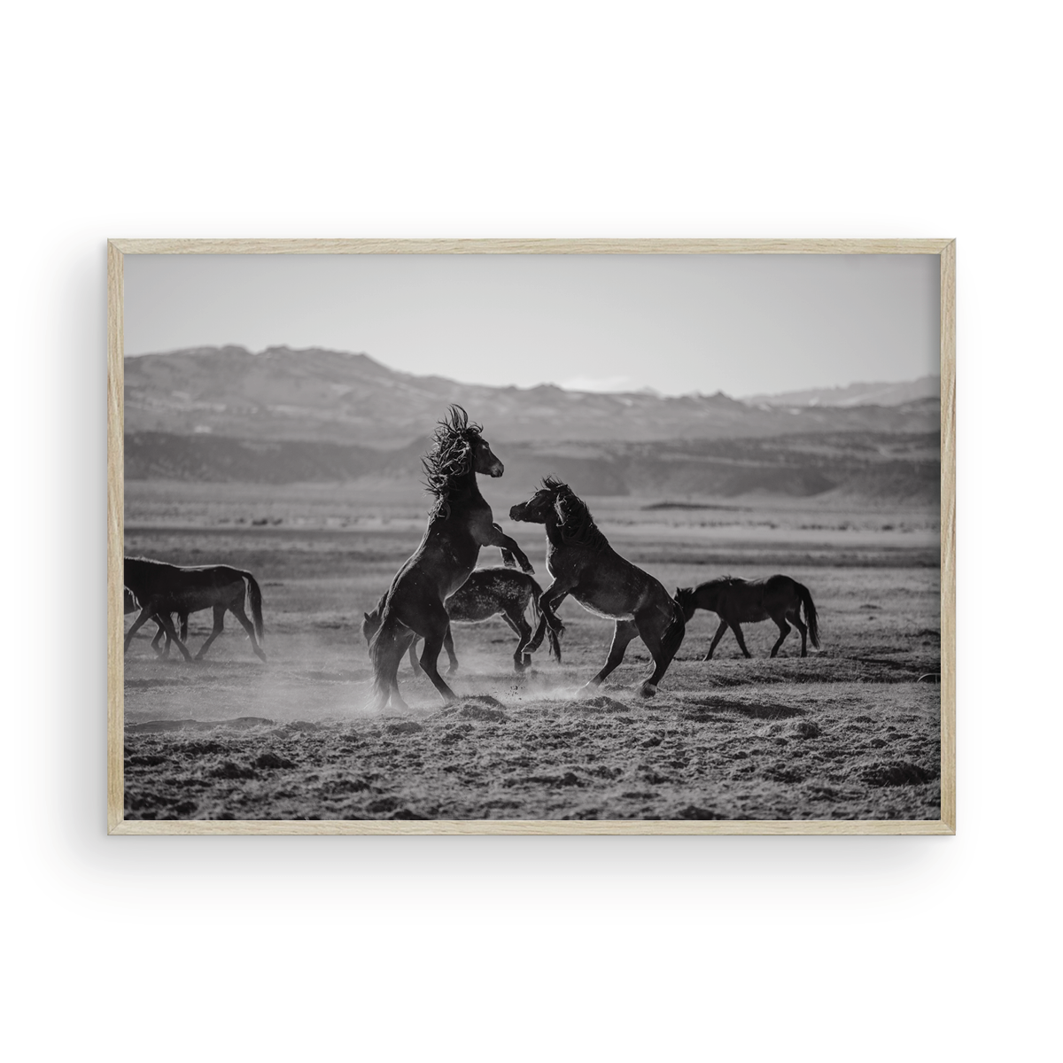 Wild Horses, One: Monochrome