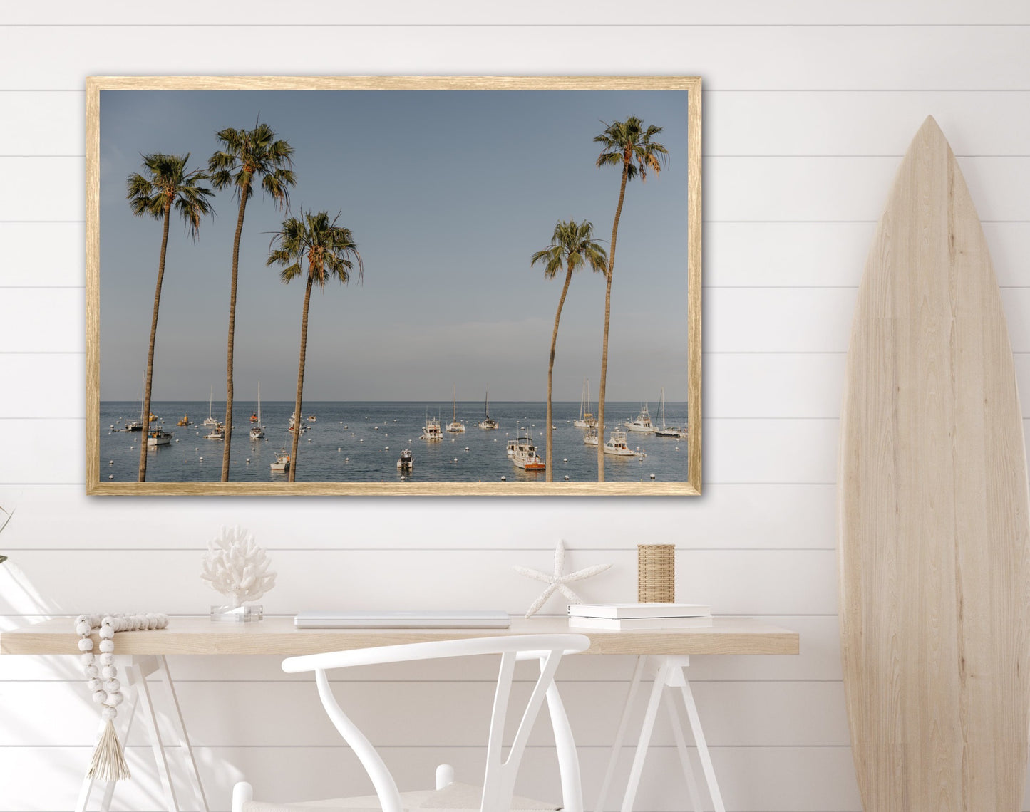 Catalina, One
