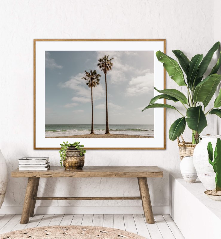 Sibling Palms, One