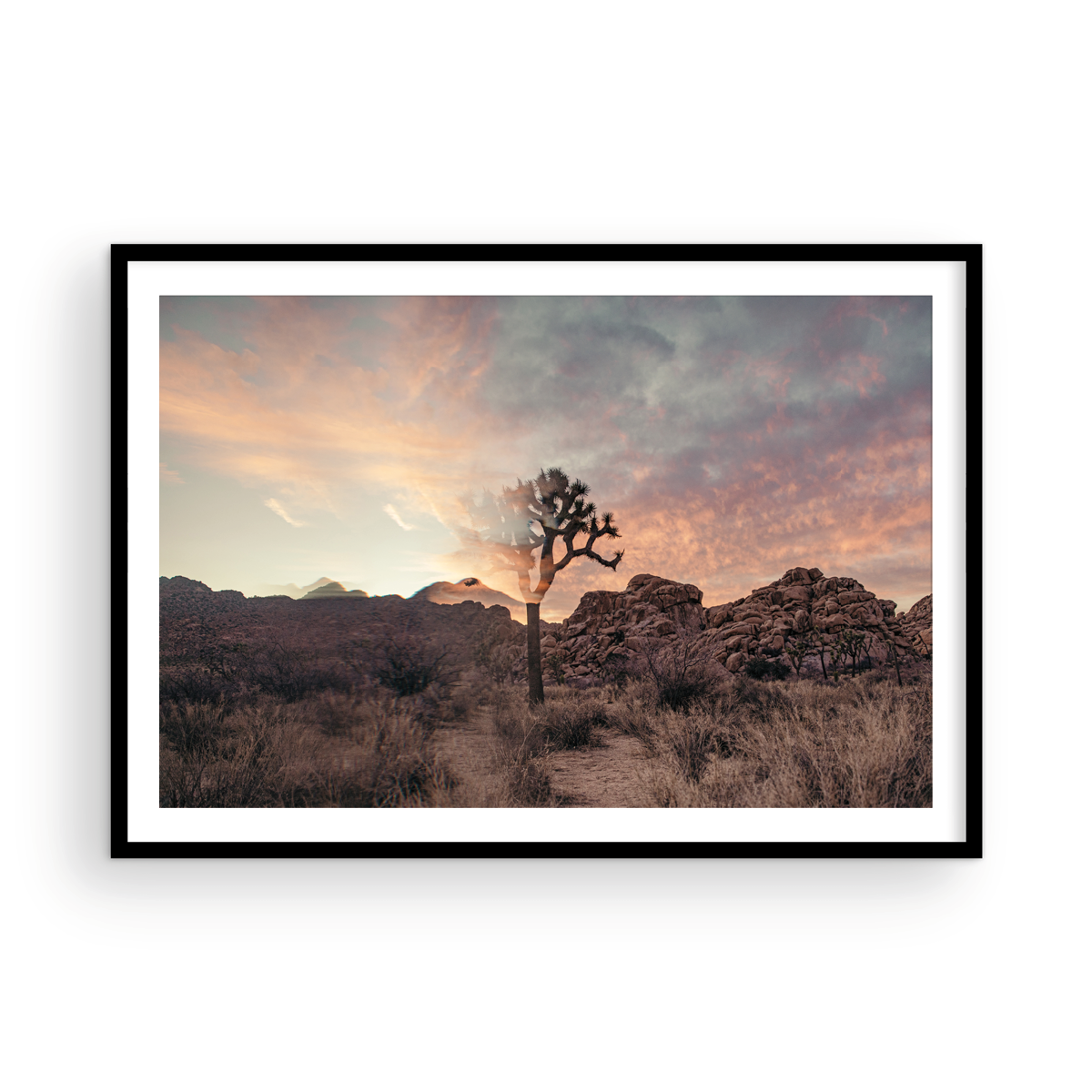 Joshua Tree, One