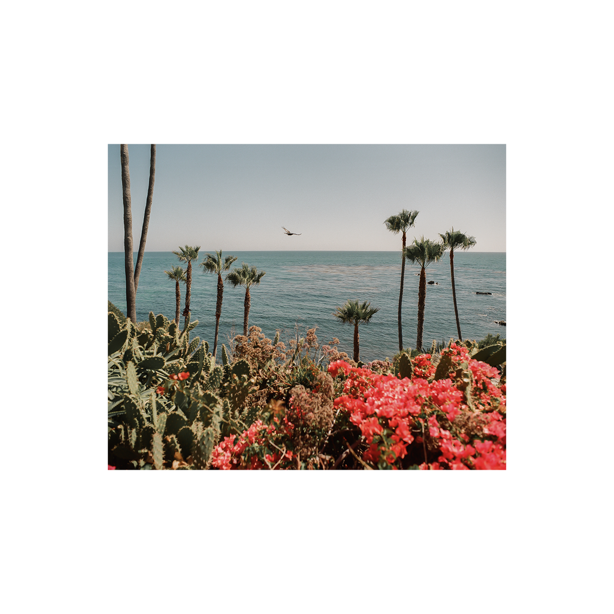 Laguna Beach, Fourteen: On Film