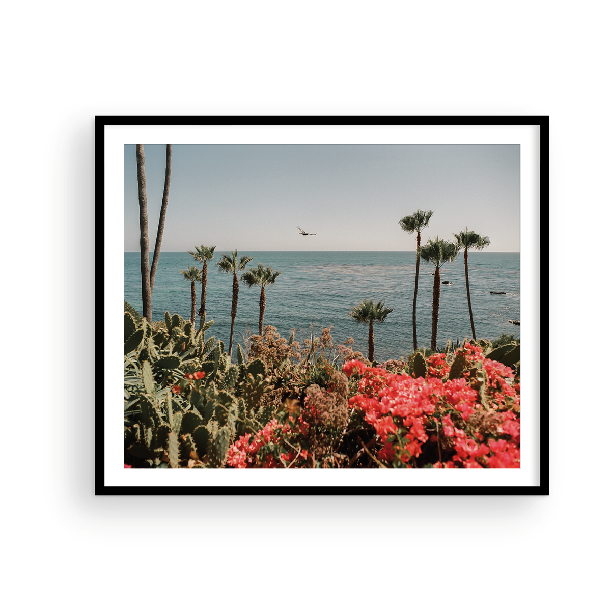 Laguna Beach, Fourteen: On Film