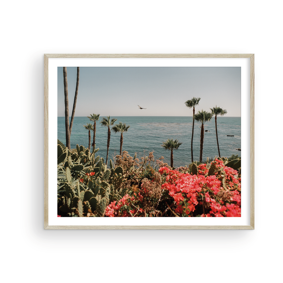 Laguna Beach, Fourteen: On Film