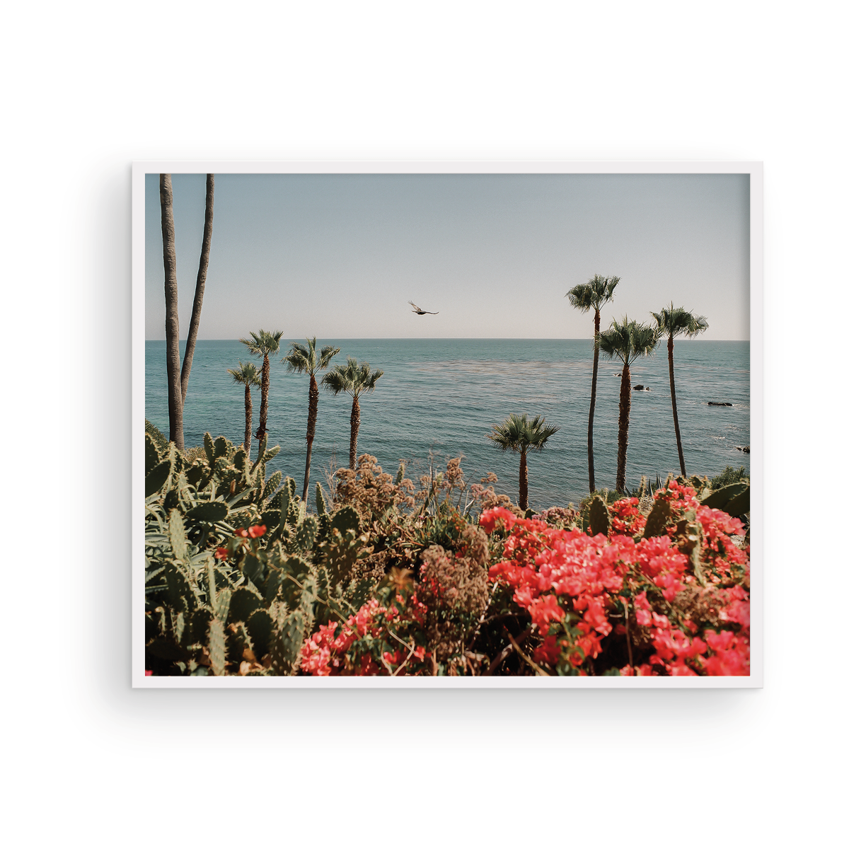 Laguna Beach, Fourteen: On Film