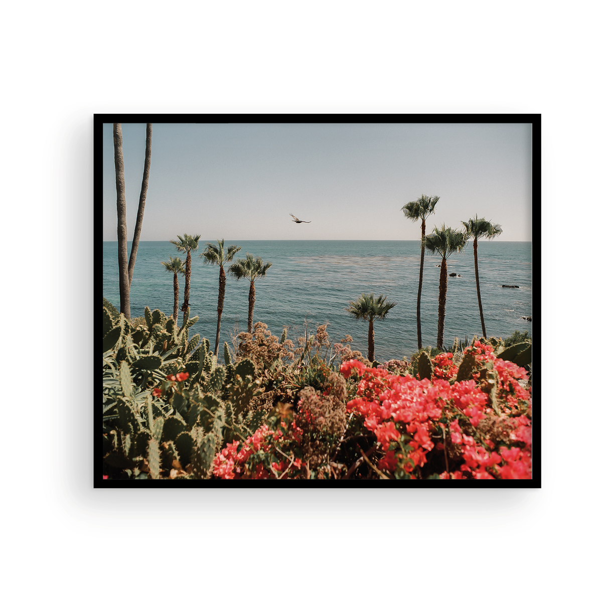 Laguna Beach, Fourteen: On Film