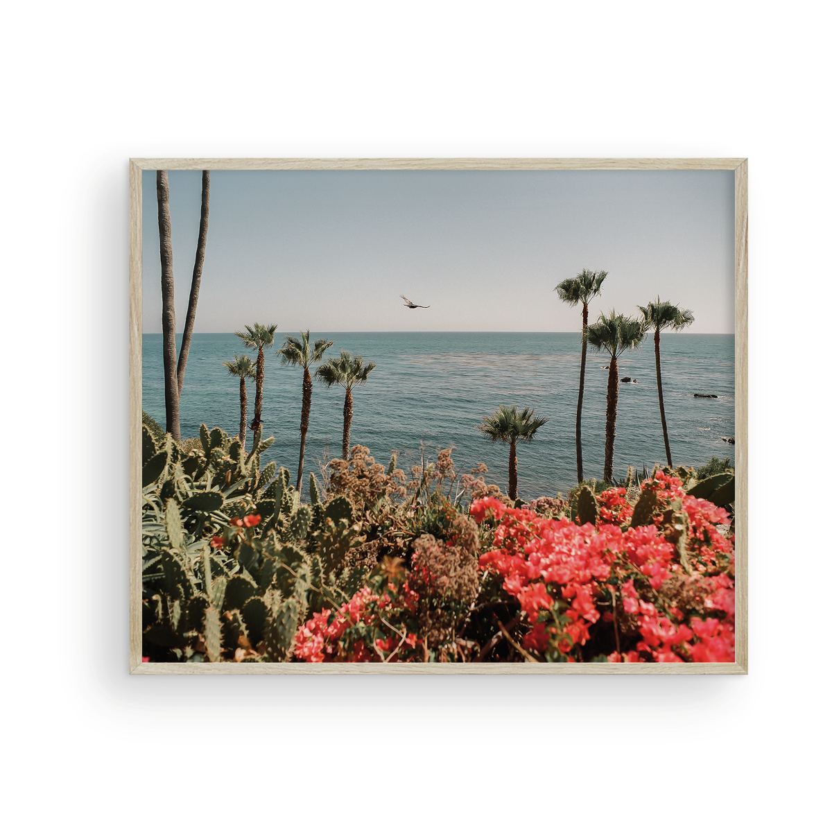 Laguna Beach, Fourteen: On Film