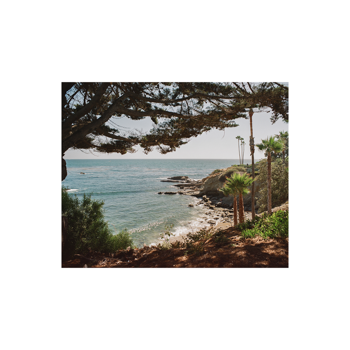 Laguna Beach, Fifteen: On Film