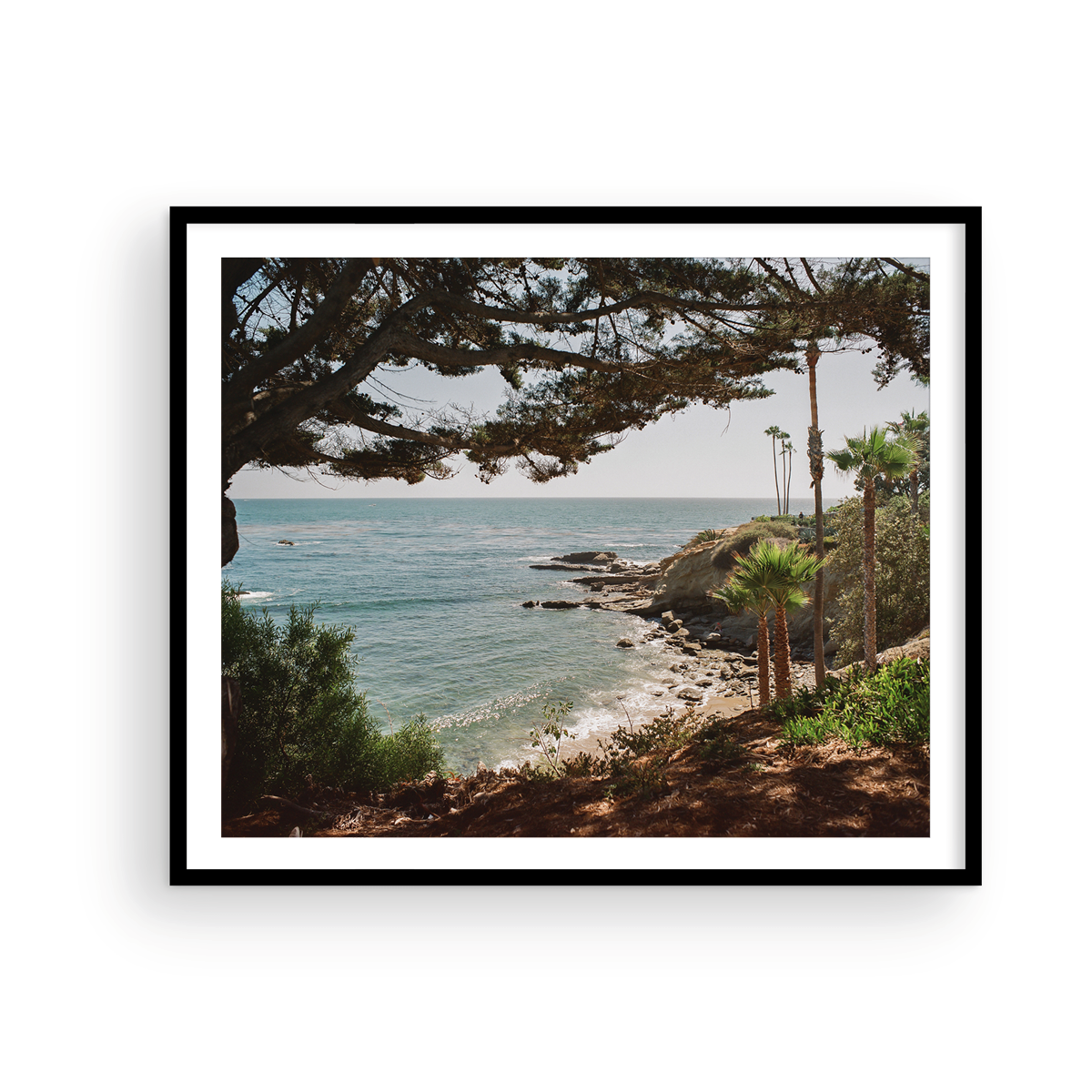Laguna Beach, Fifteen: On Film