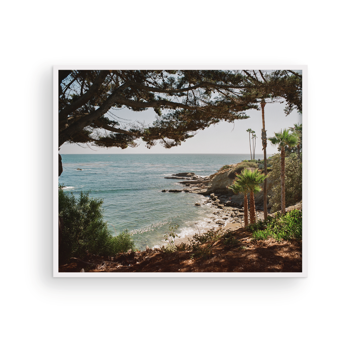 Laguna Beach, Fifteen: On Film
