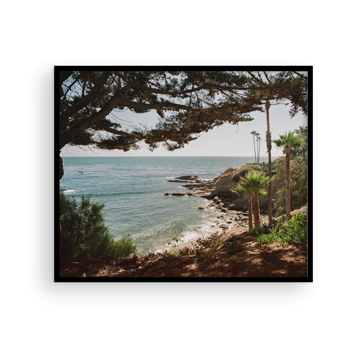 Laguna Beach, Fifteen: On Film