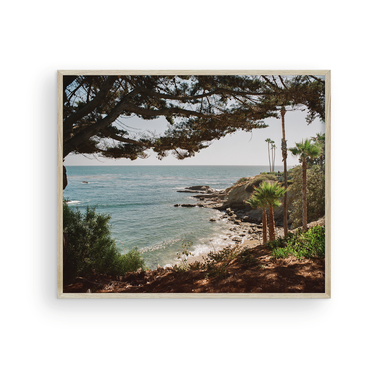 Laguna Beach, Fifteen: On Film