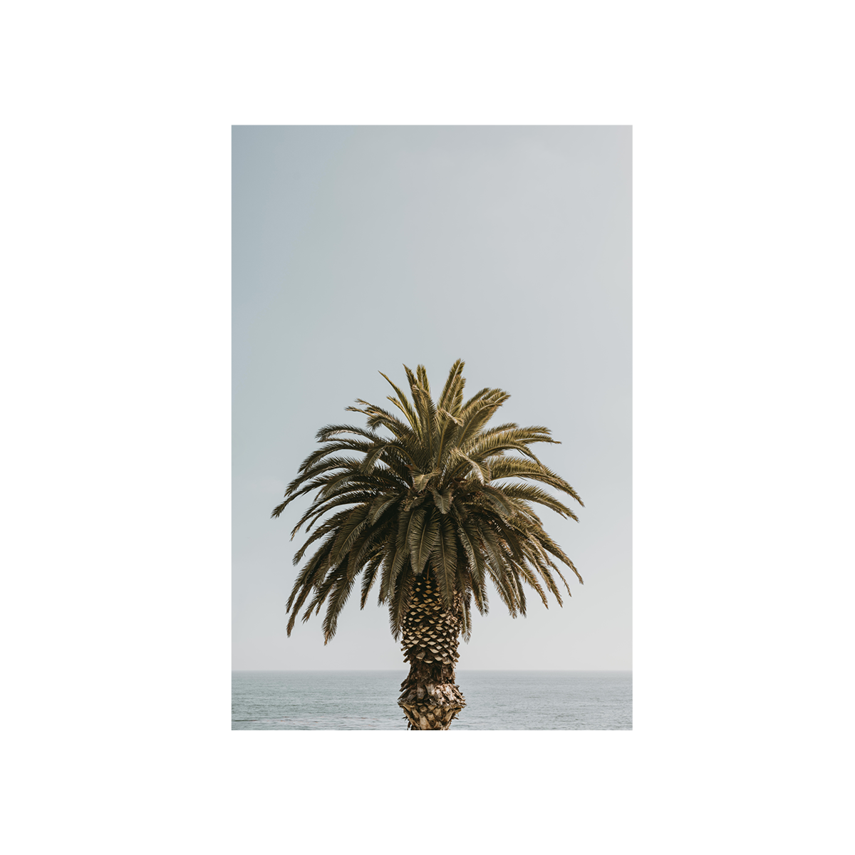 Laguna Beach, Three