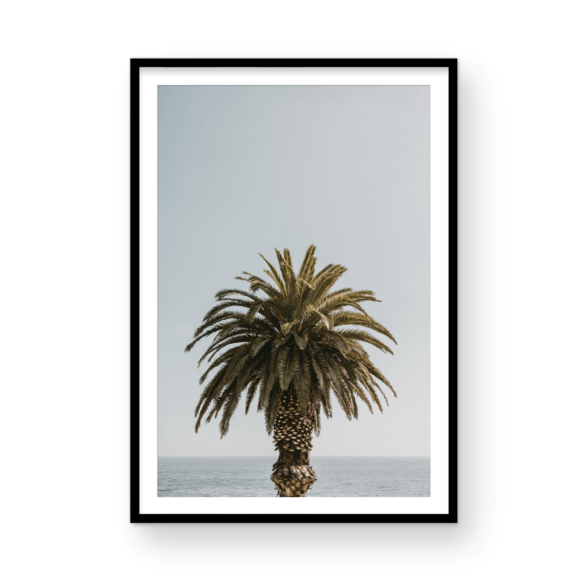Laguna Beach, Three