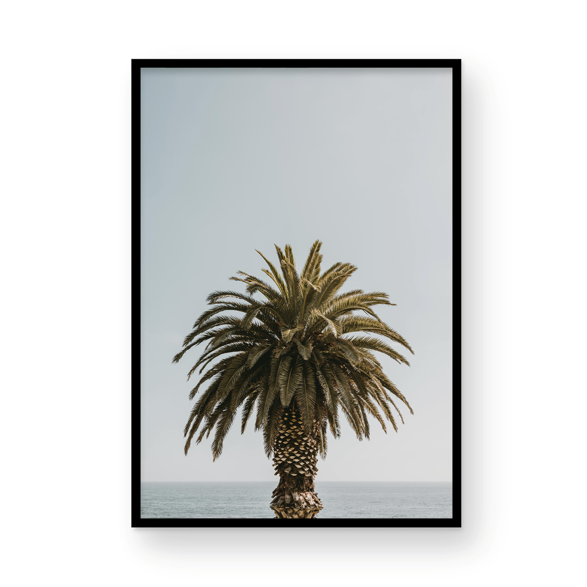 Laguna Beach, Three