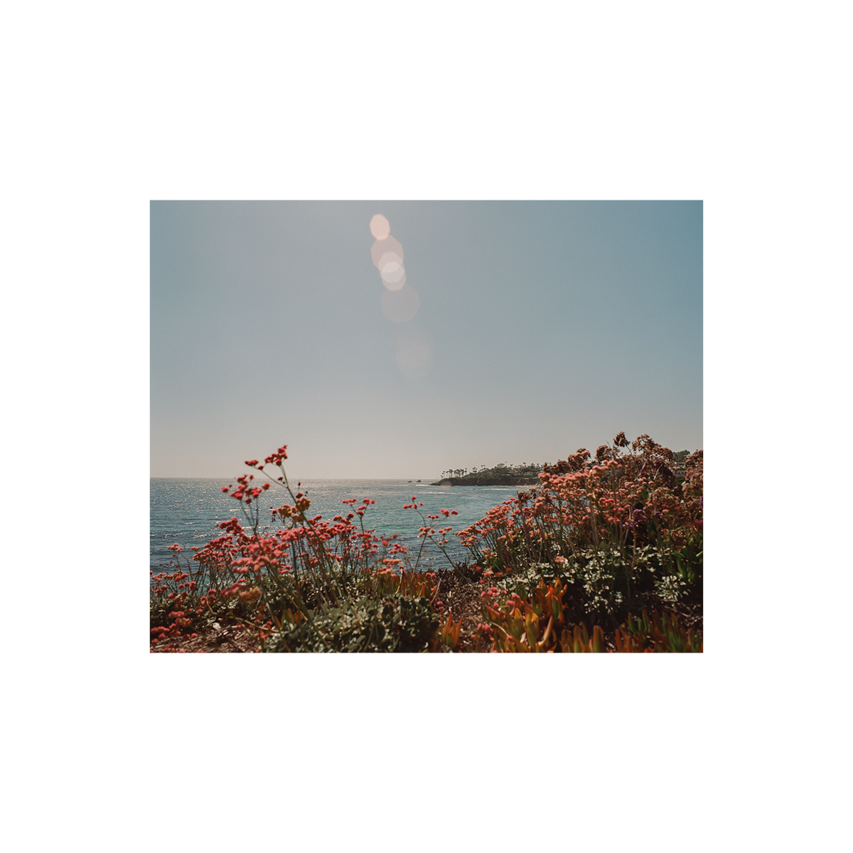 Laguna Beach, Seventeen: On Film