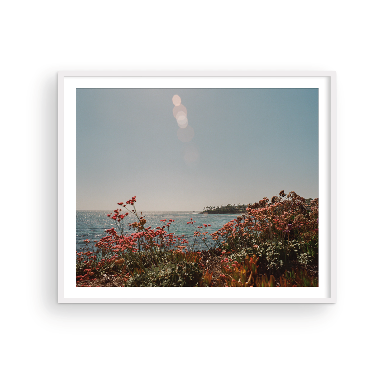 Laguna Beach, Seventeen: On Film