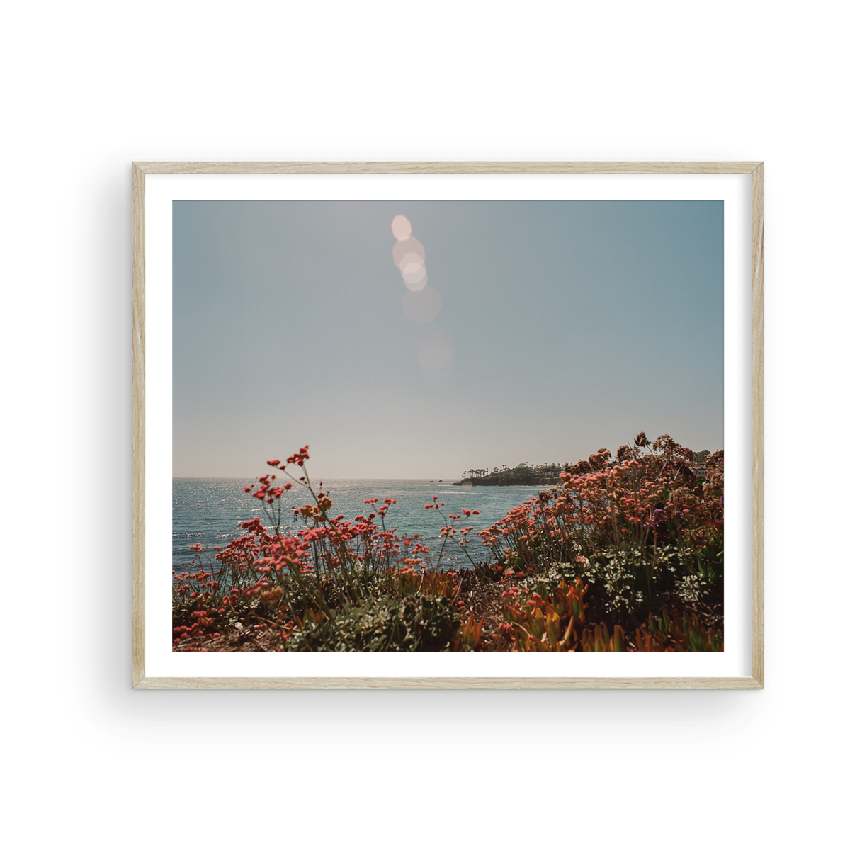 Laguna Beach, Seventeen: On Film