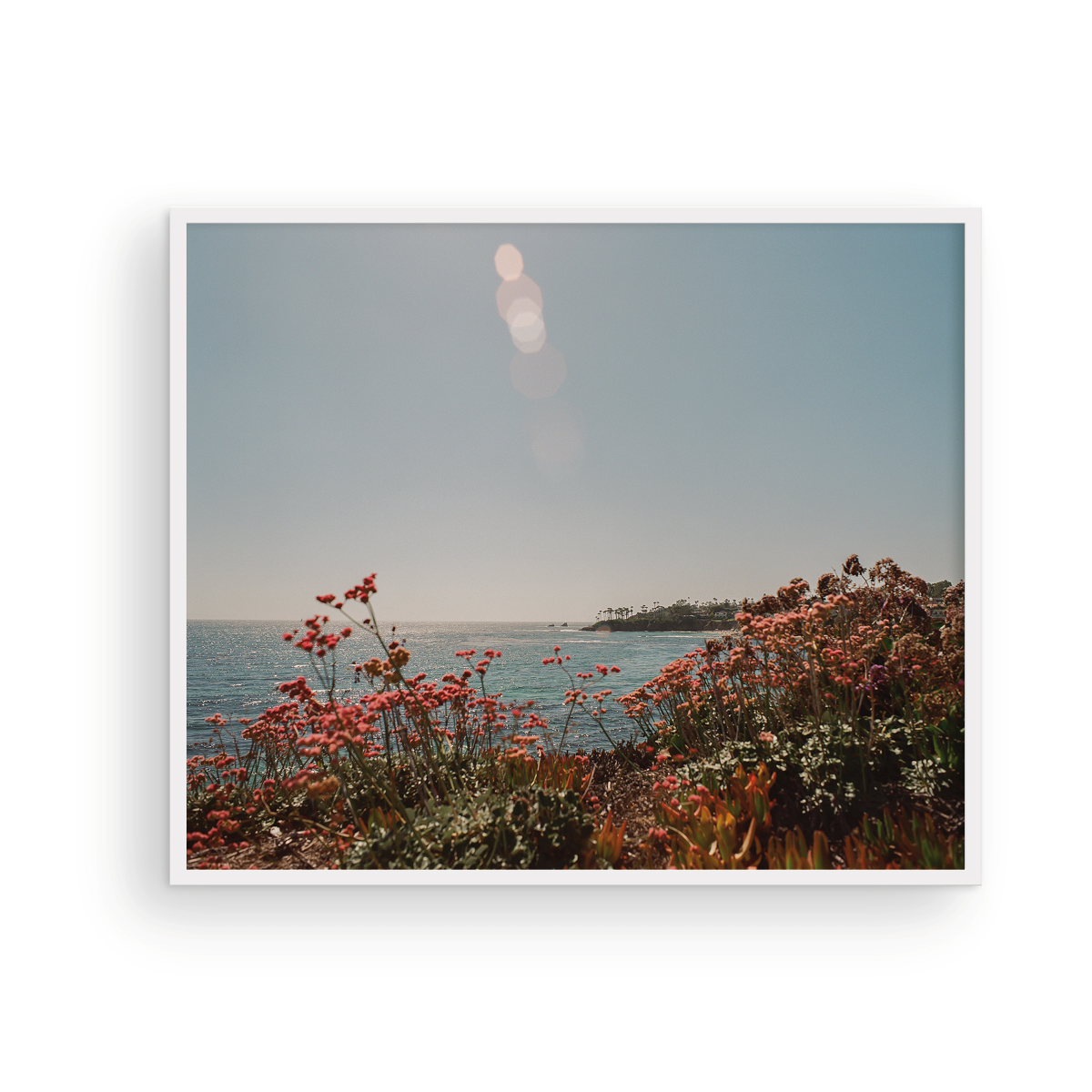 Laguna Beach, Seventeen: On Film