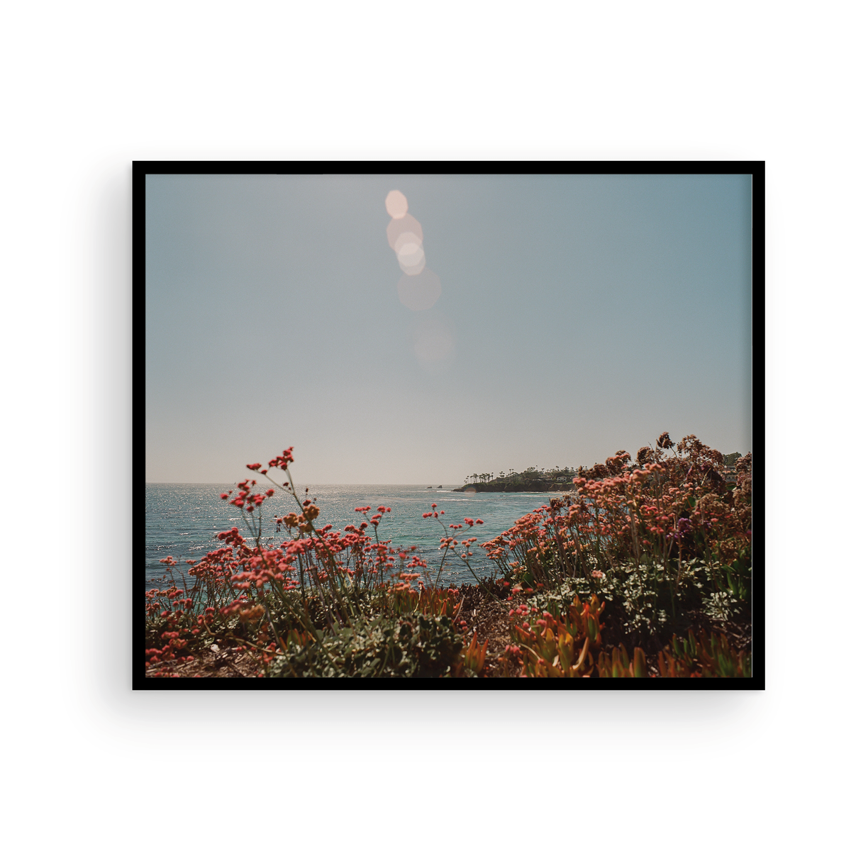 Laguna Beach, Seventeen: On Film