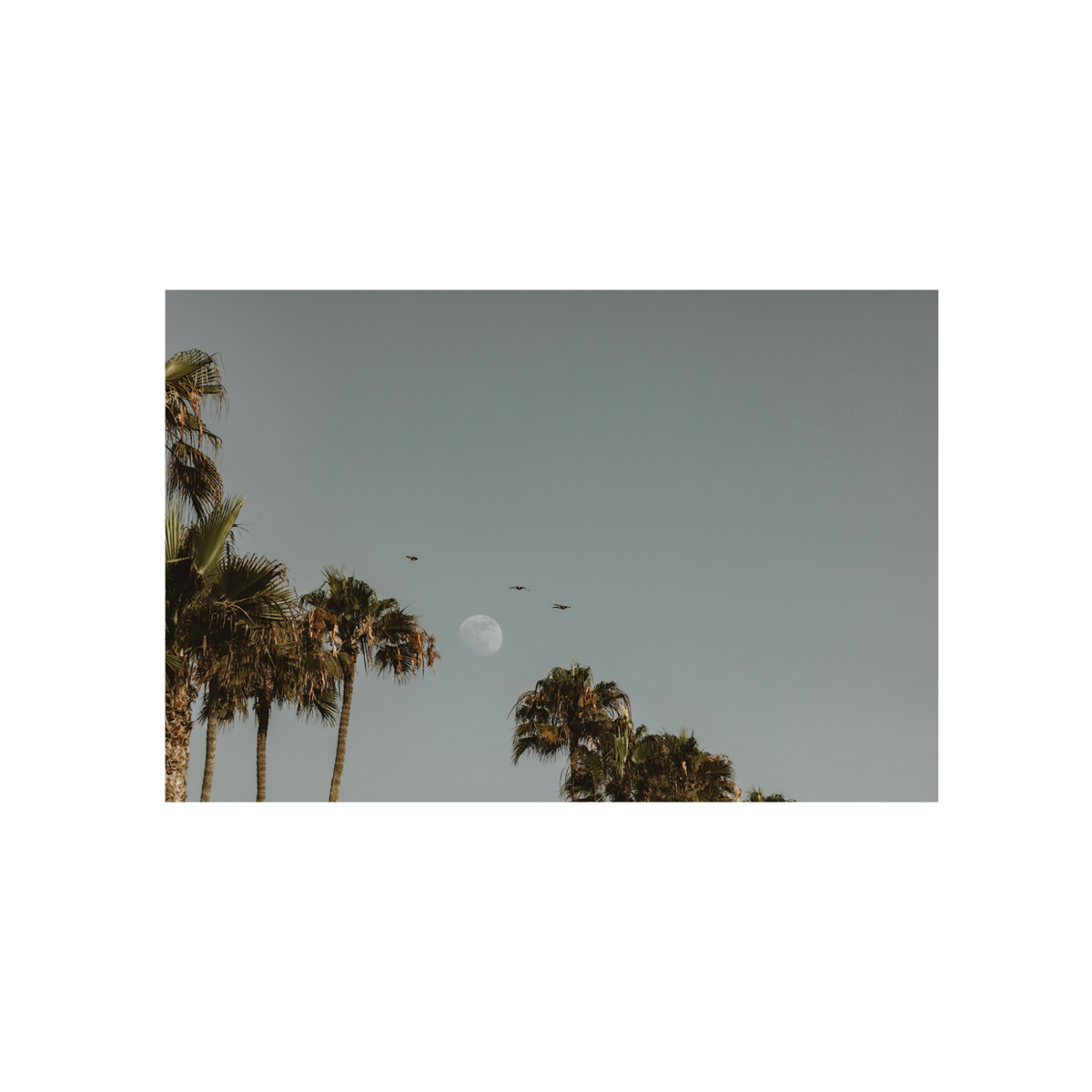 Moonrise, Five