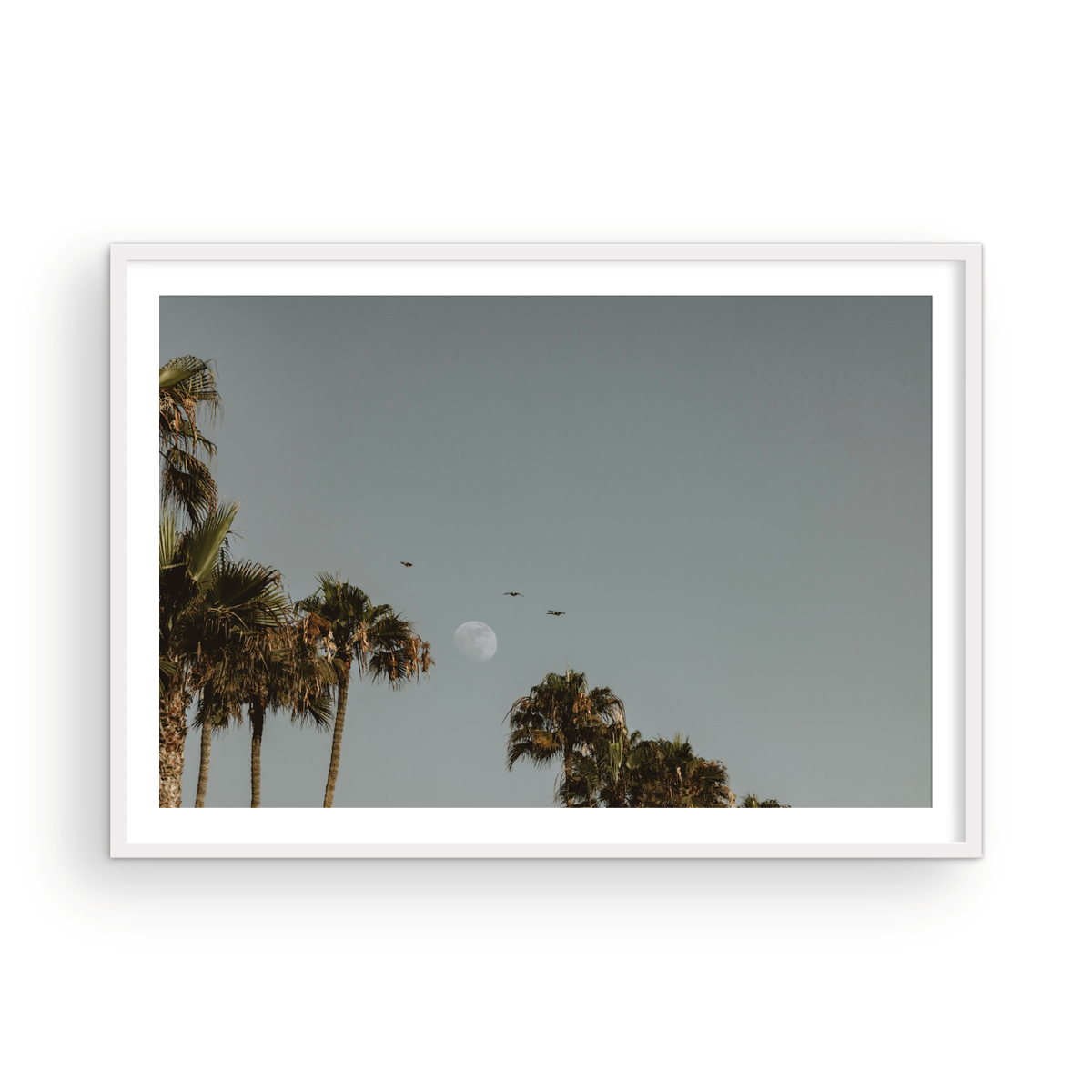 Moonrise, Five