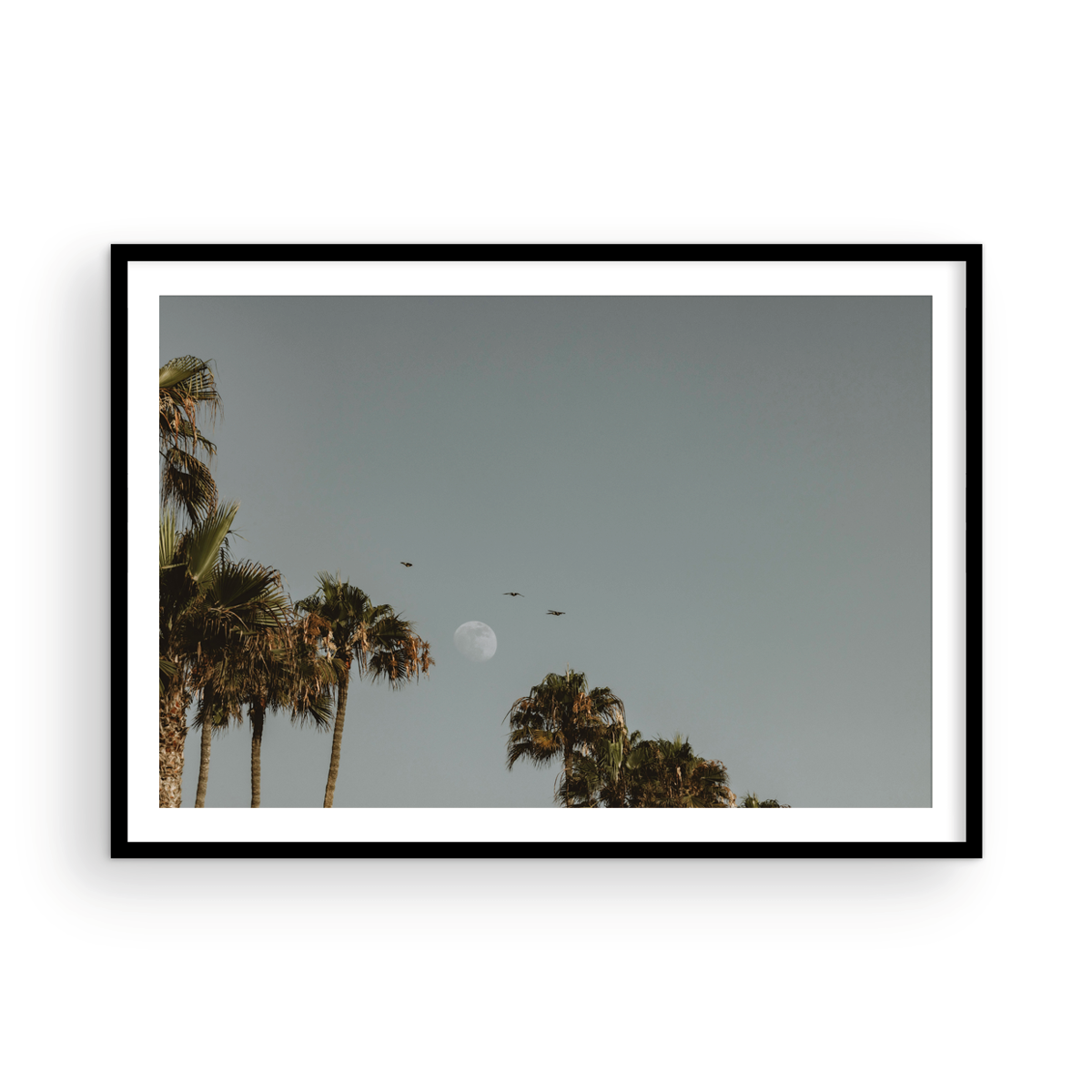 Moonrise, Five