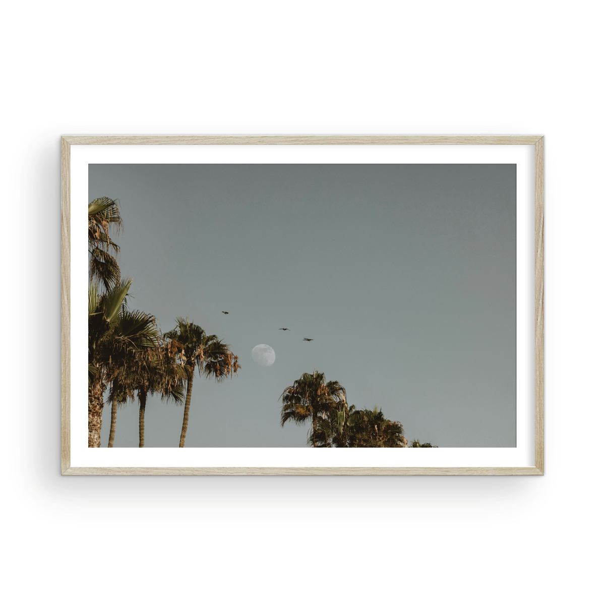 Moonrise, Five