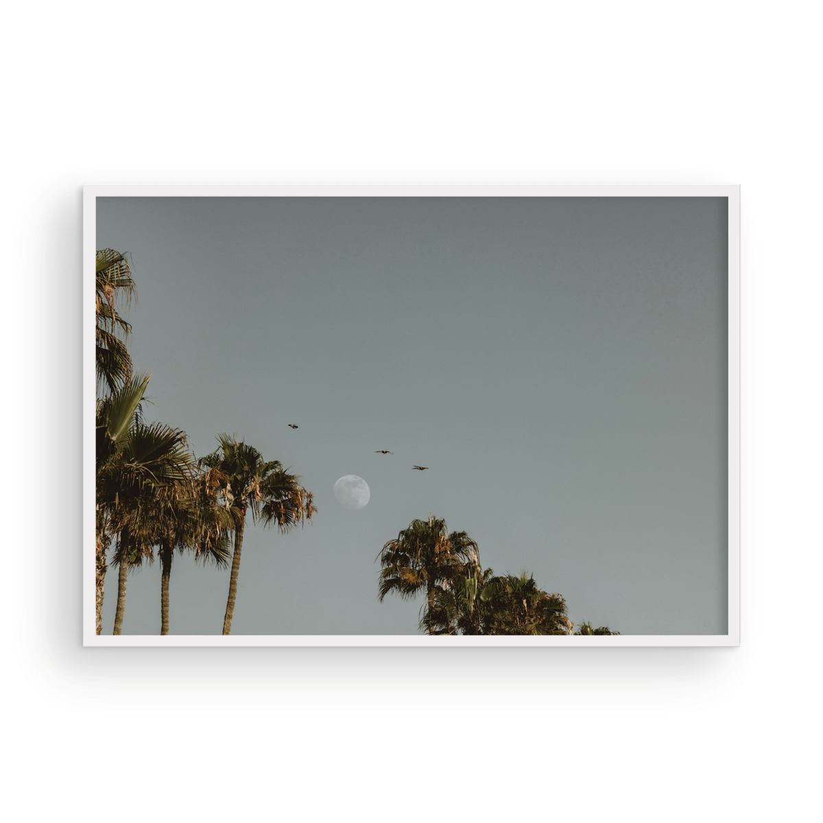 Moonrise, Five