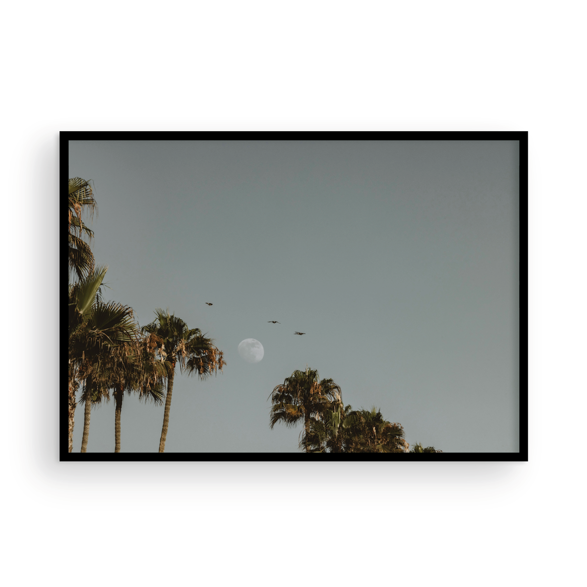Moonrise, Five