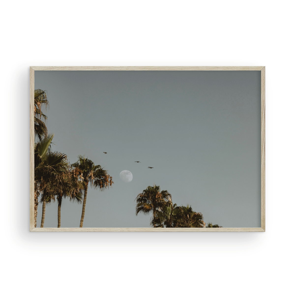 Moonrise, Five