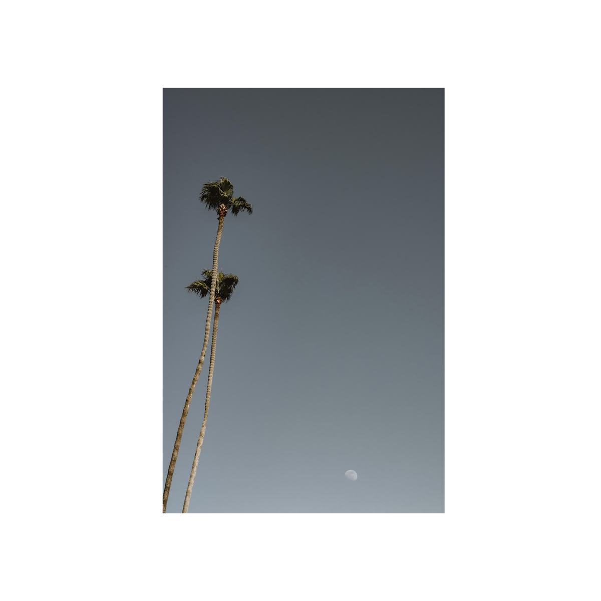 Moonrise, Four