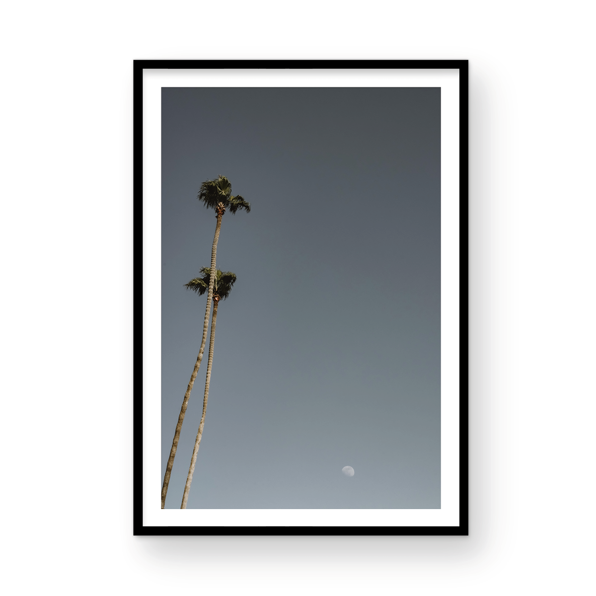 Moonrise, Four