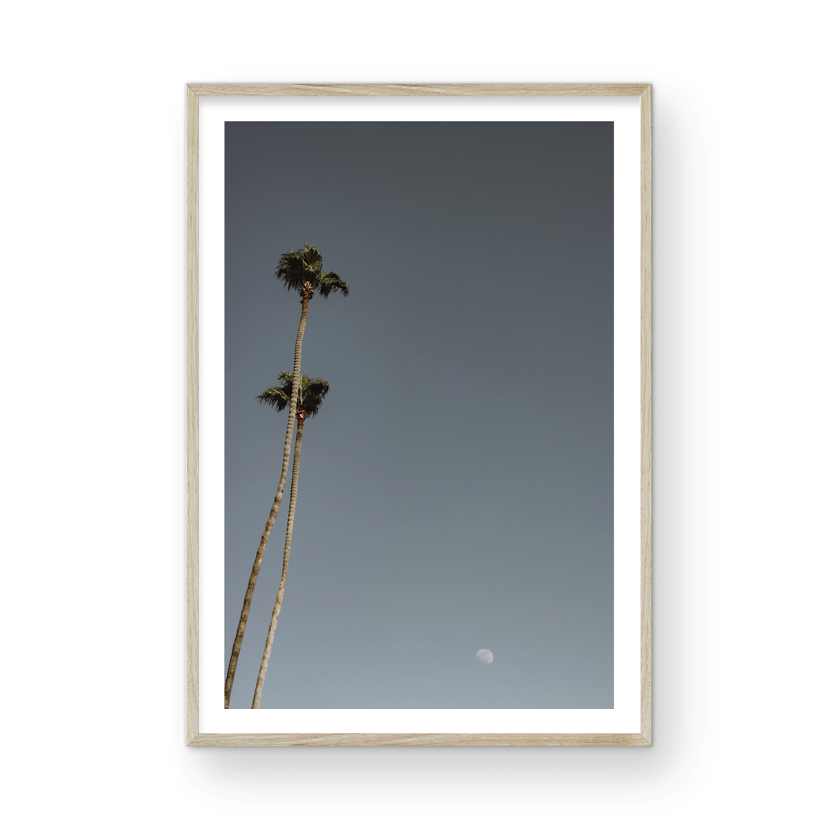 Moonrise, Four