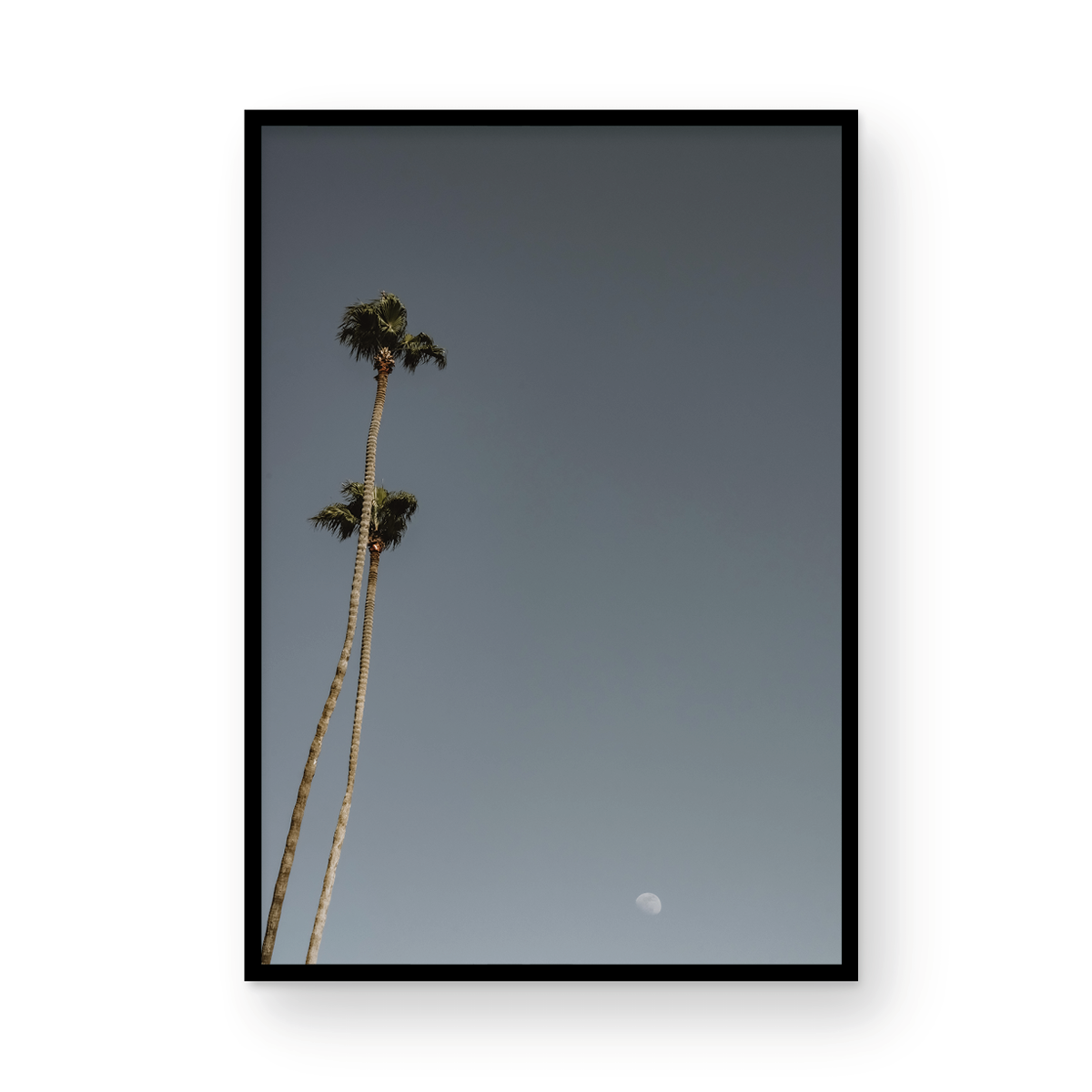 Moonrise, Four