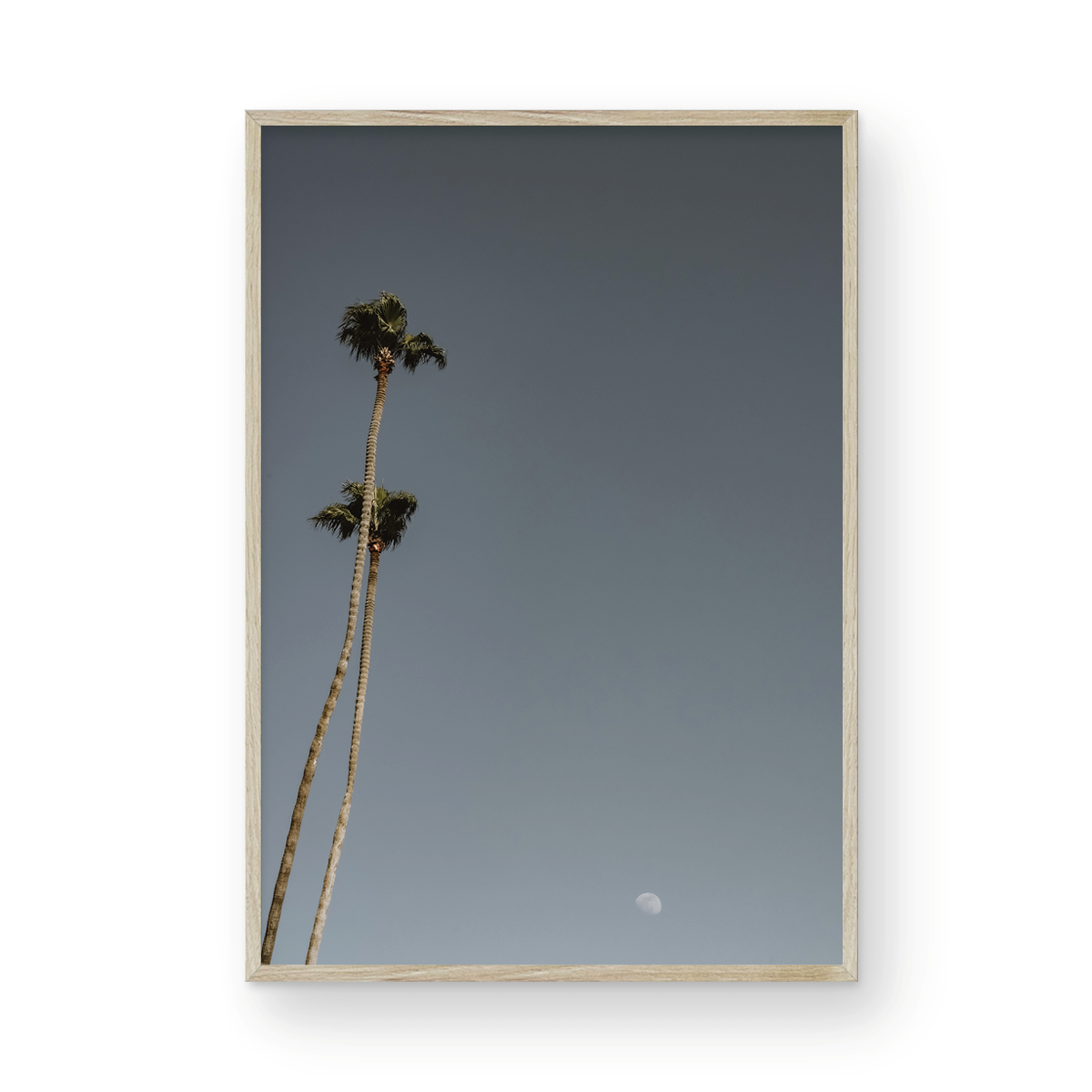 Moonrise, Four