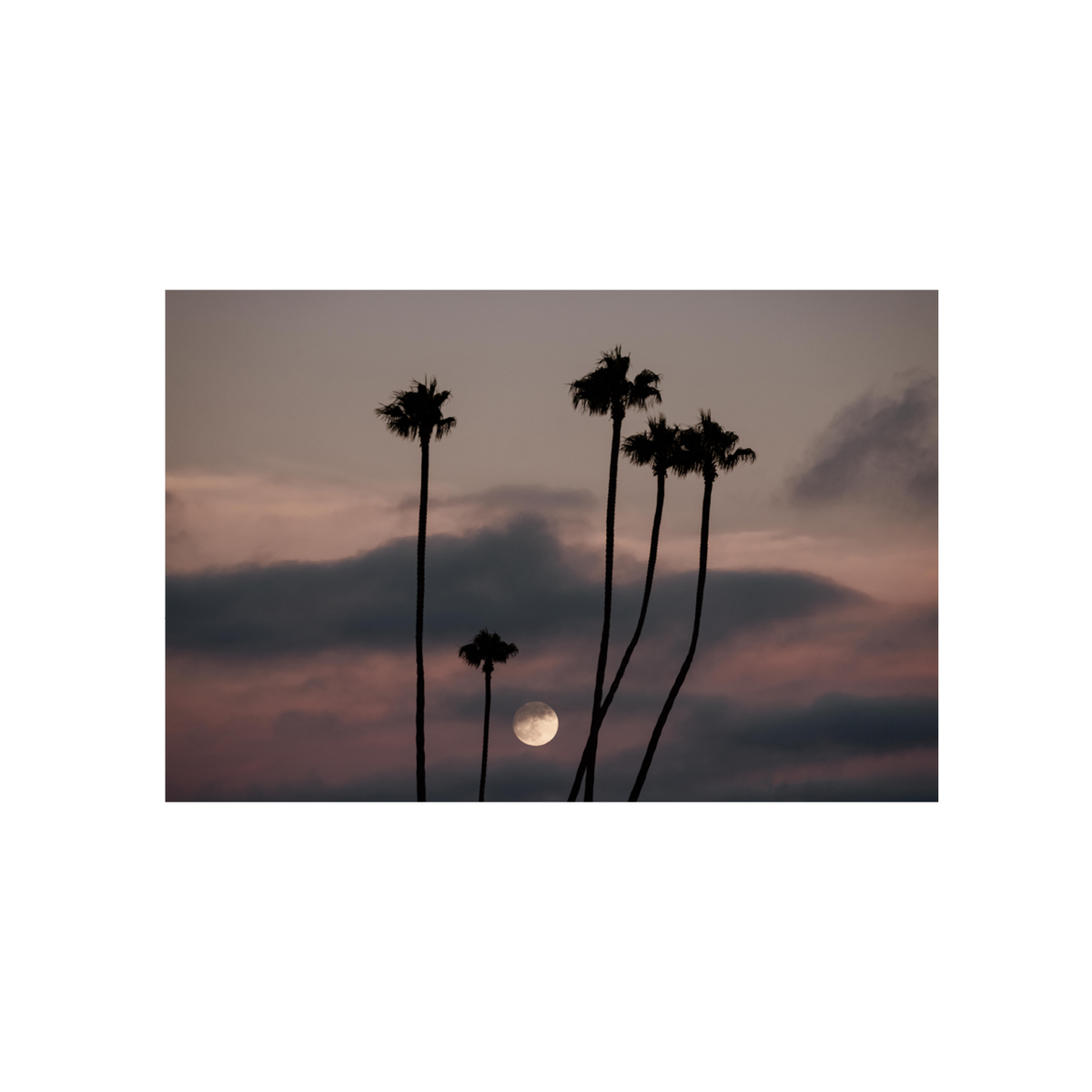 Moonrise, One