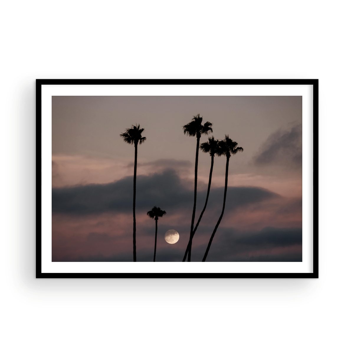 Moonrise, One