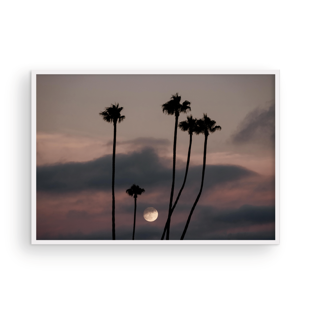 Moonrise, One